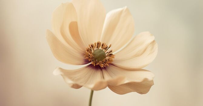 GLP-1 Weight Loss Program