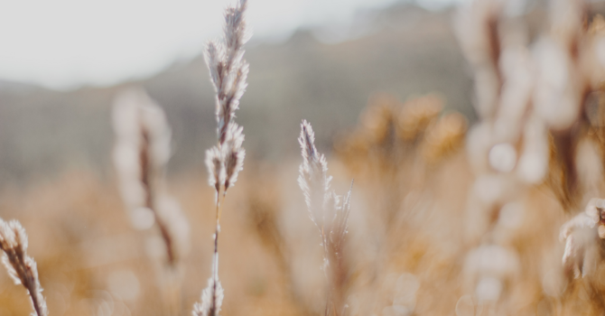 IV Treatments Near Me: Replenish, Revitalize, and Restore with IV Therapy at River North Med Spa