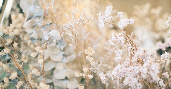 GLP-1 Weight Loss Program