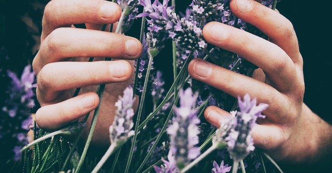 GLP-1 Weight Loss Program